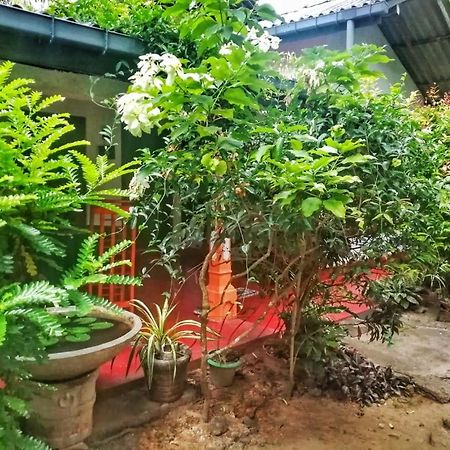Senith Guest House Mirissa Exterior photo