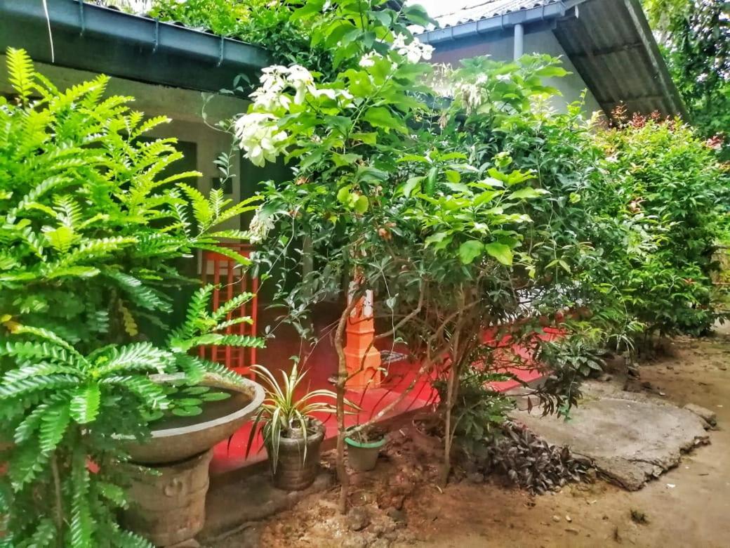 Senith Guest House Mirissa Exterior photo