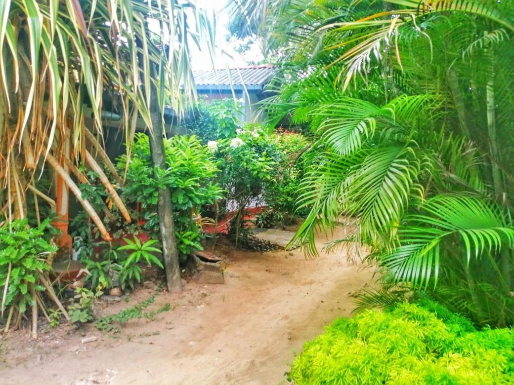 Senith Guest House Mirissa Exterior photo