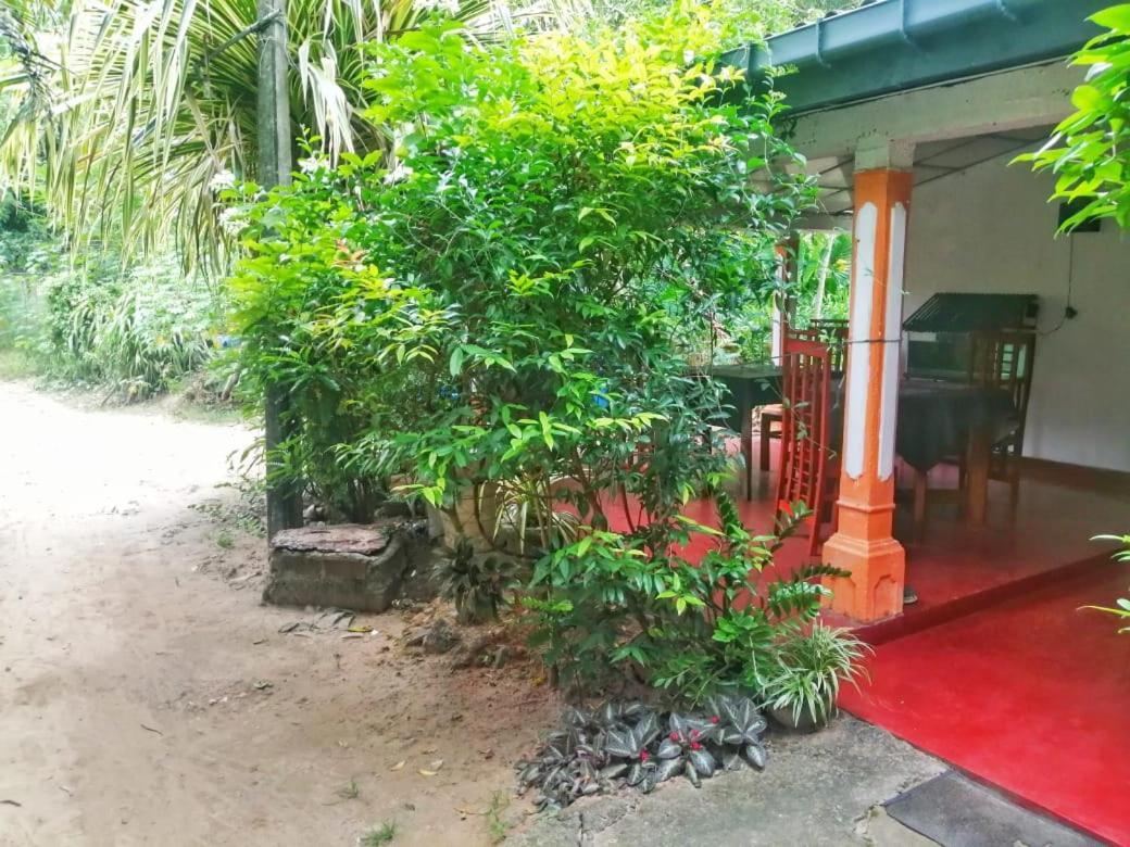 Senith Guest House Mirissa Exterior photo